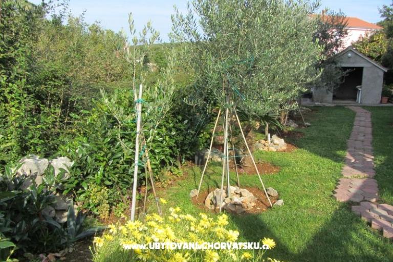 Apartamenty Perišić – foto 14
