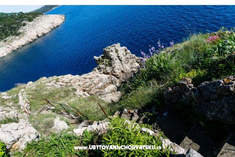 Apartamenty Plišić – foto 2