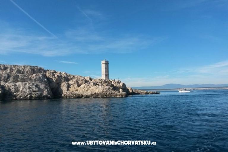Apartamenty Vila Maslina – foto 16