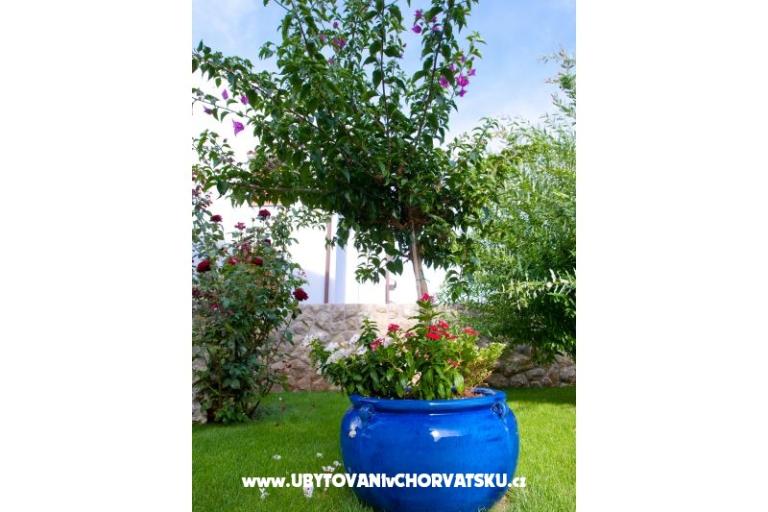 Lucia Apartamenty – foto 7