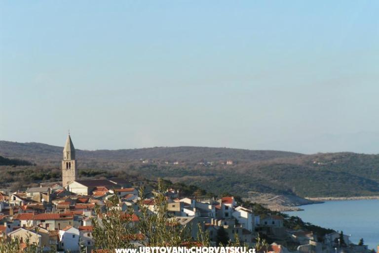 Maja – foto 14