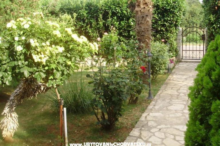 Apartament Mihael + free boat trip – foto 16