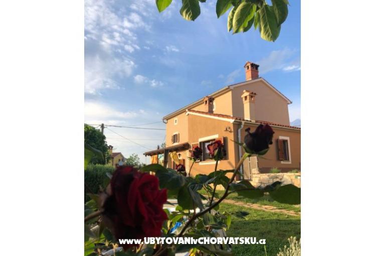 Dom wakacyjny Bepina – foto 28