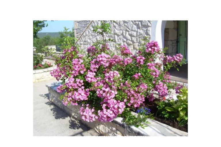 Villa Mare – foto 4