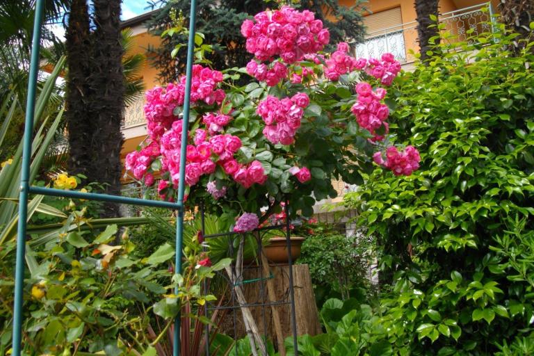 Apartament Ines – foto 2