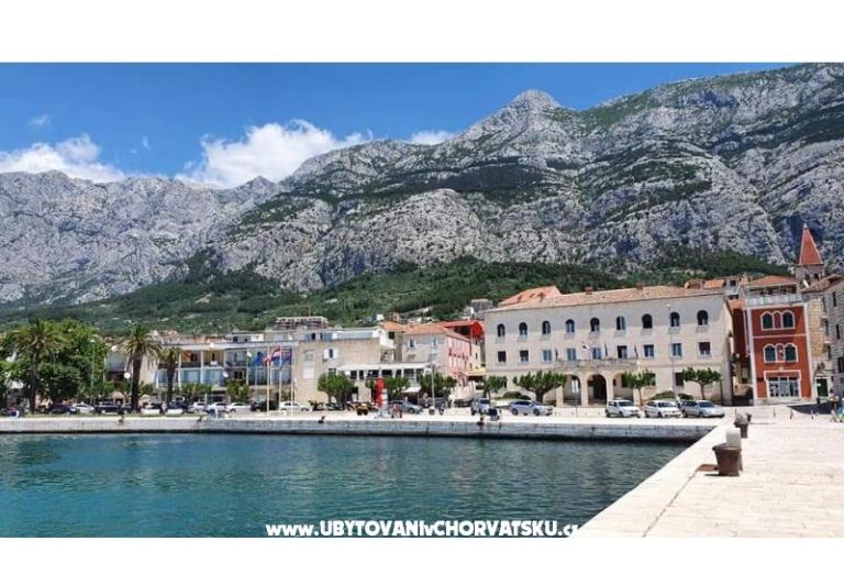 Apartament Andrijašević – foto 17