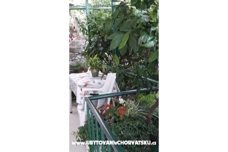 Apartament Olga – foto 11