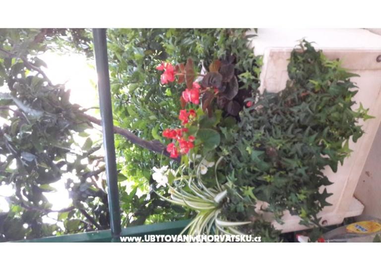 Apartament Olga – foto 9