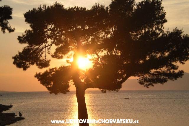 Apartament Pavlinovic 5+1 – foto 12