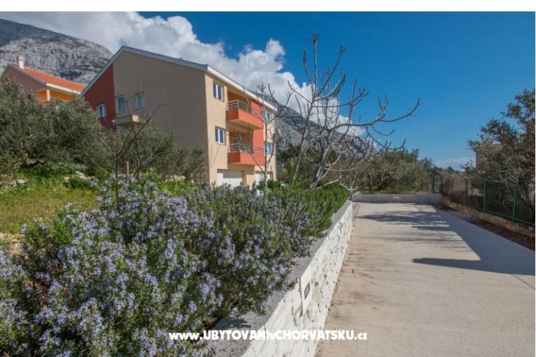 Apartamenty Buba/Maslina – foto 3