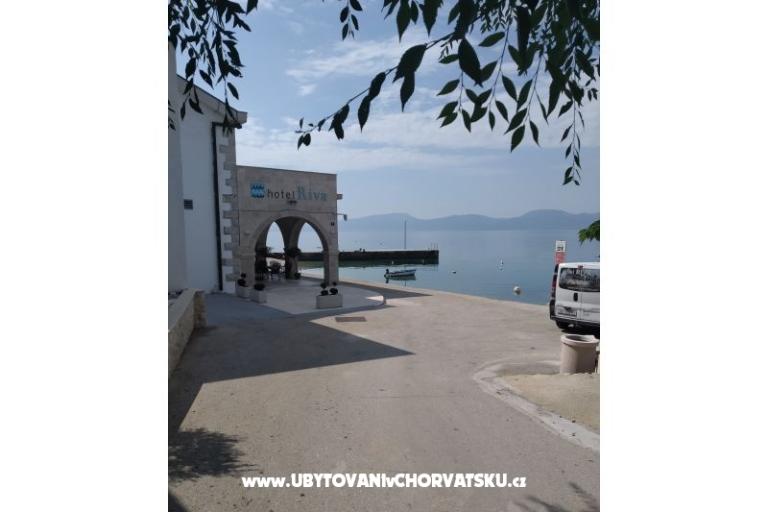 Apartamenty Dalmata – foto 12