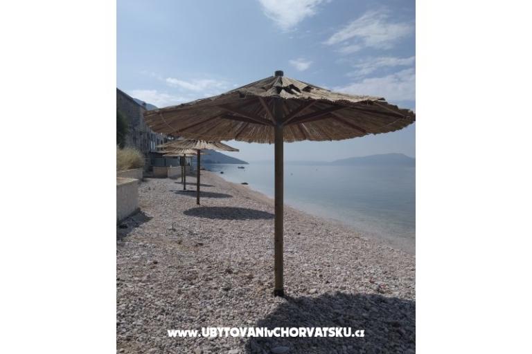 Apartamenty Dalmata – foto 6