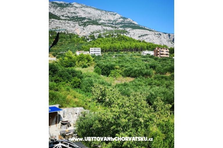 Apartamenty Garden paradise – foto 17