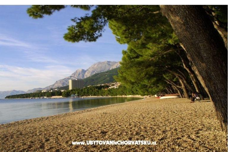 Apartamenty IVO – foto 3