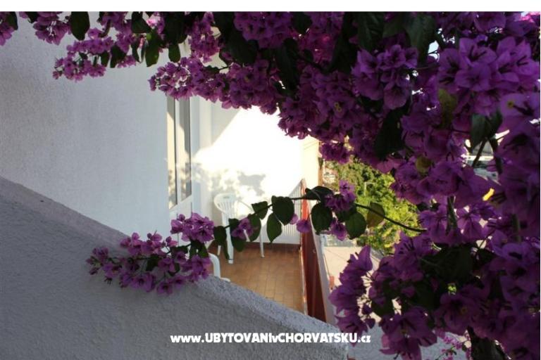 Apartamenty Kruno – foto 15