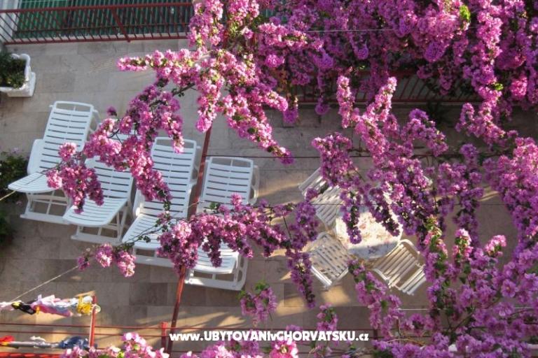 Apartamenty Kruno – foto 4