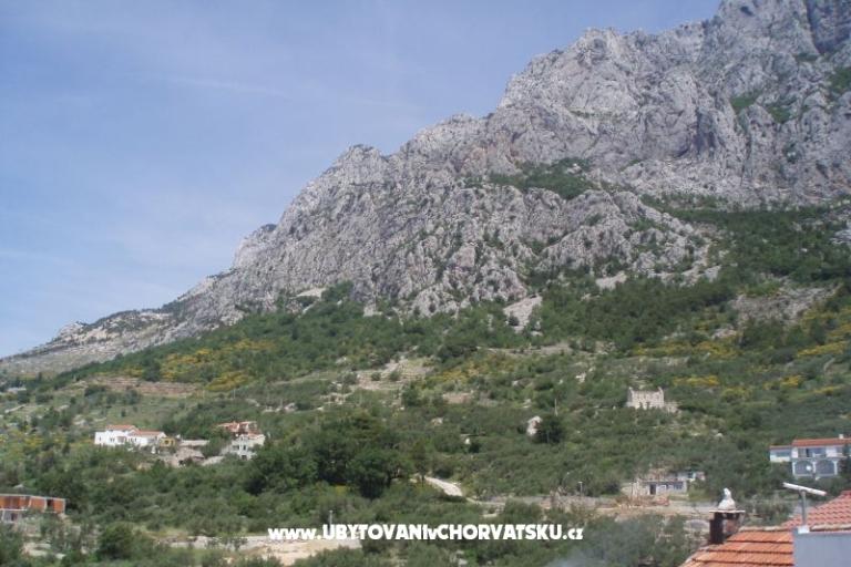 Apartamenty Mileta – foto 18