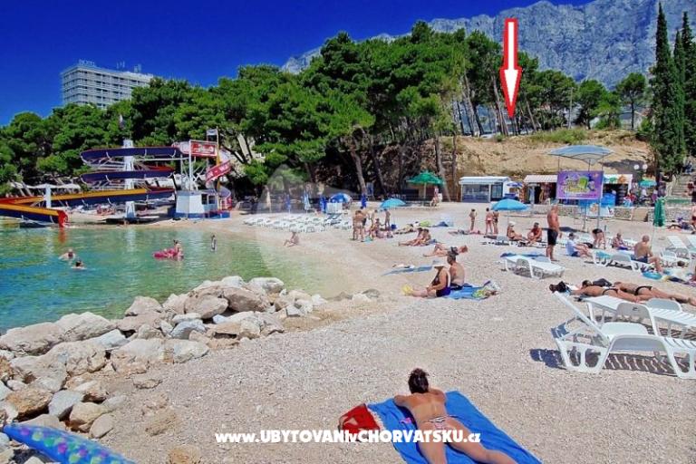 Apartamenty Neva plaža – foto 3