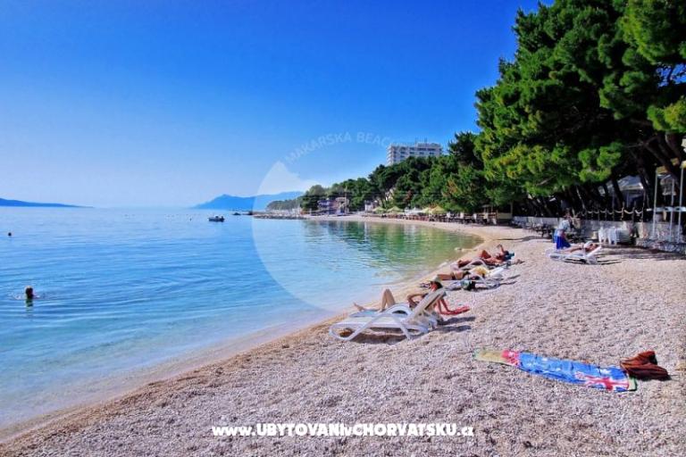 Apartamenty Neva plaža – foto 6