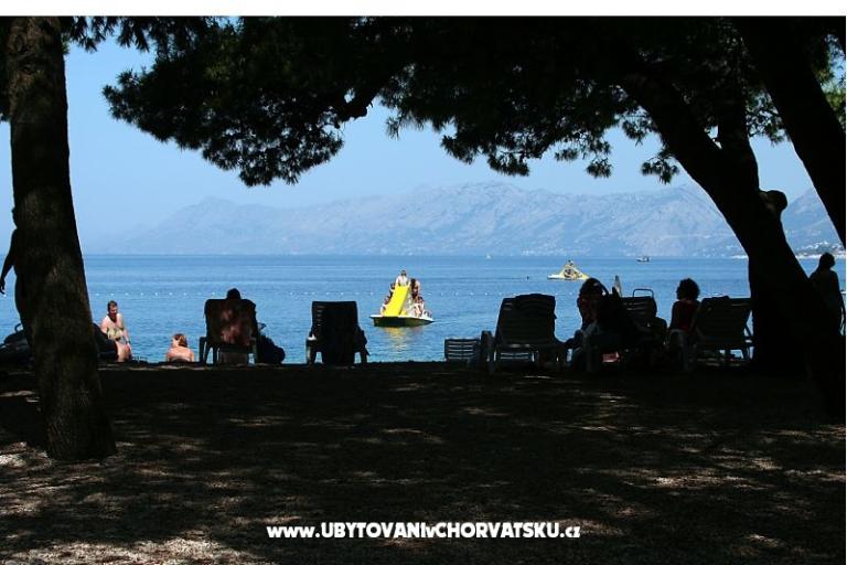 Apartamenty Pašalić – foto 10