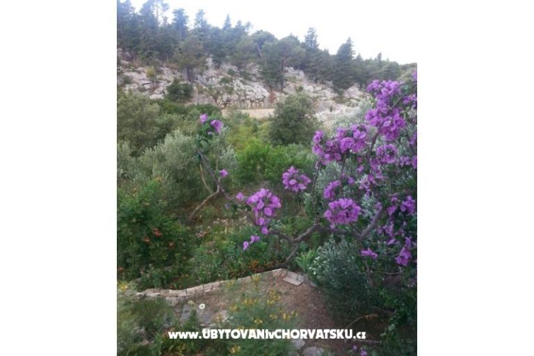 Apartamenty Rubinić – foto 15