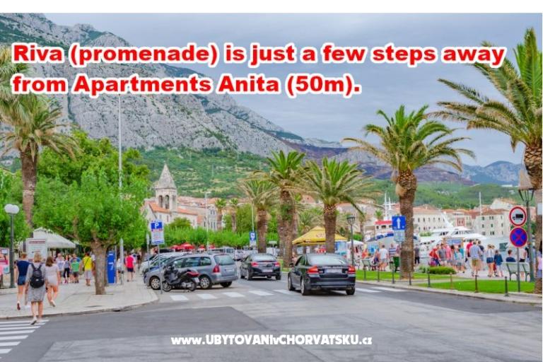 Apartamenty Anita - Center – foto 17