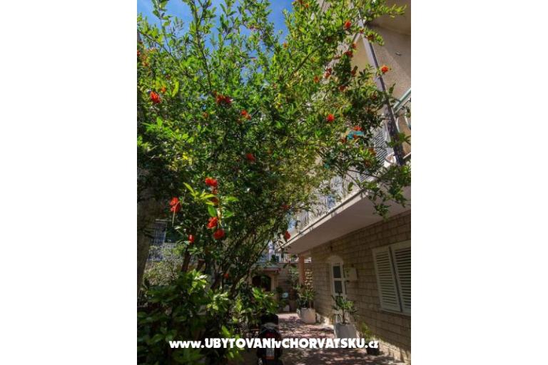 Apartamenty A&amp;B – foto 16