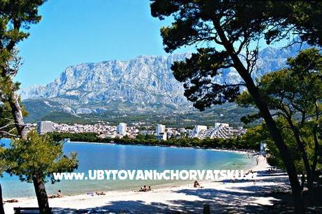 Apartamenty Green Dom – foto 6