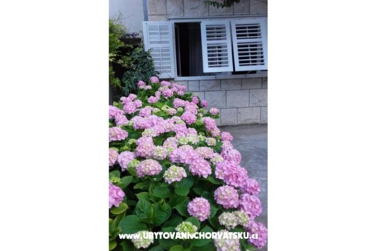 Apartamenty Jele – foto 7
