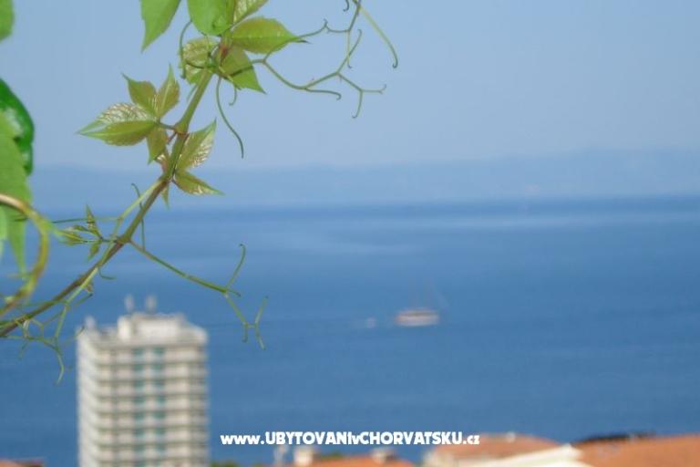 Apartamenty Milic – foto 11