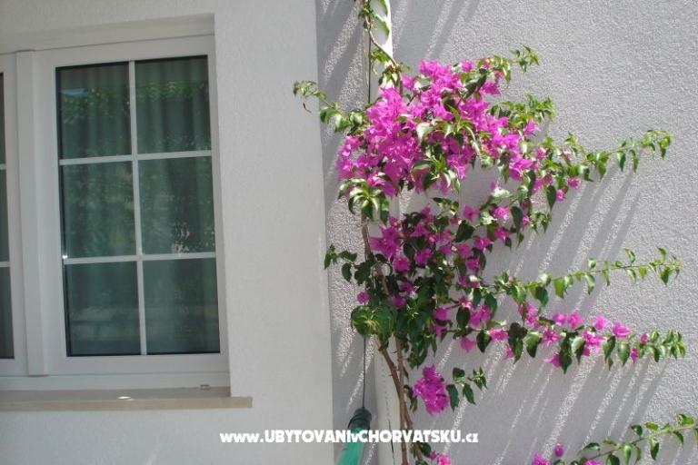 Apartamenty Milic – foto 16