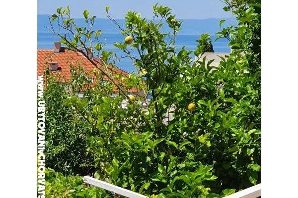 Apartamenty Sani – foto 18