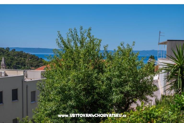 Apartamenty Sani – foto 21