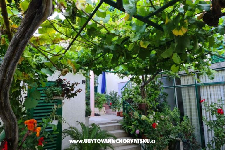 Apartamenty Vinea – foto 2