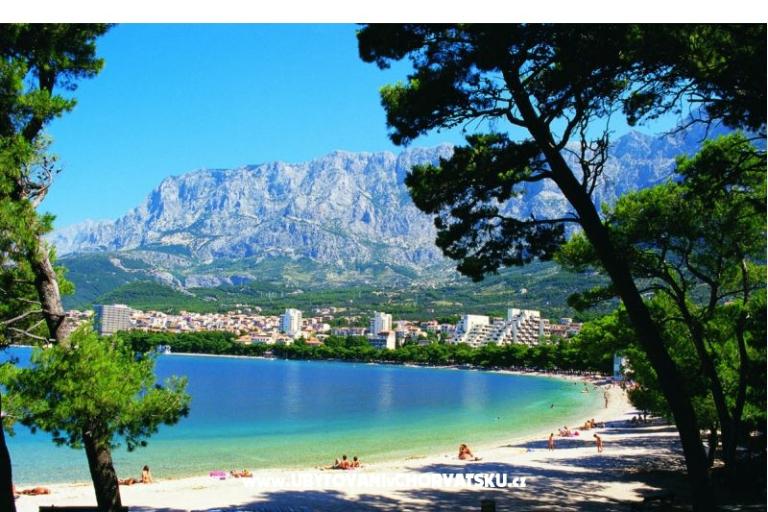 Dom Erceg – foto 14