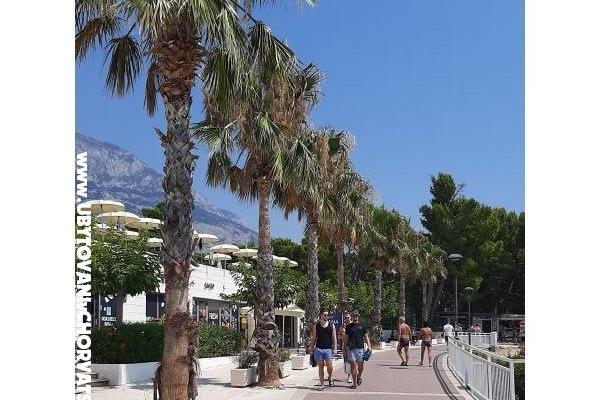 Dom Biokovo – foto 25