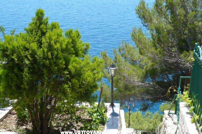 Apartamenty Sliskovic, 1. line to sea – foto 8