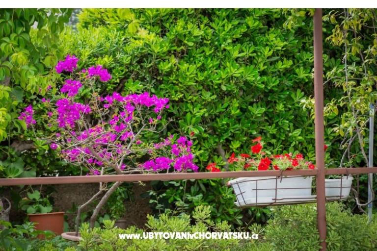 Apartamenty Daniela Makarska – foto 3