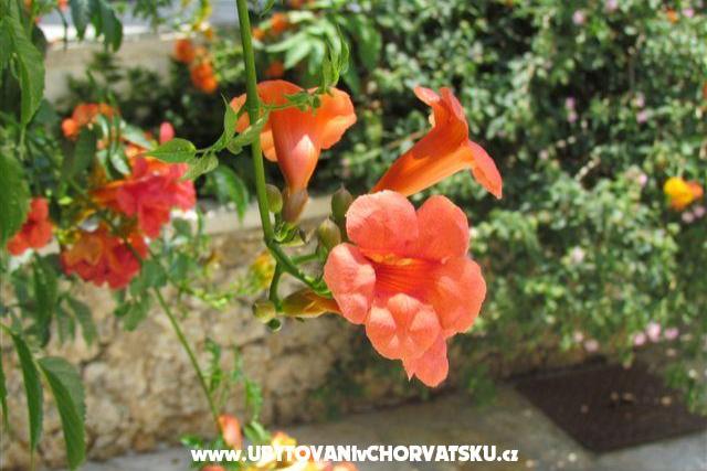 Silva apartments – foto 13