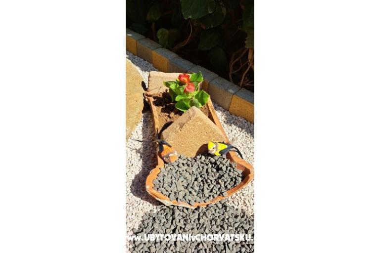 Apartamenty Avvi – foto 23