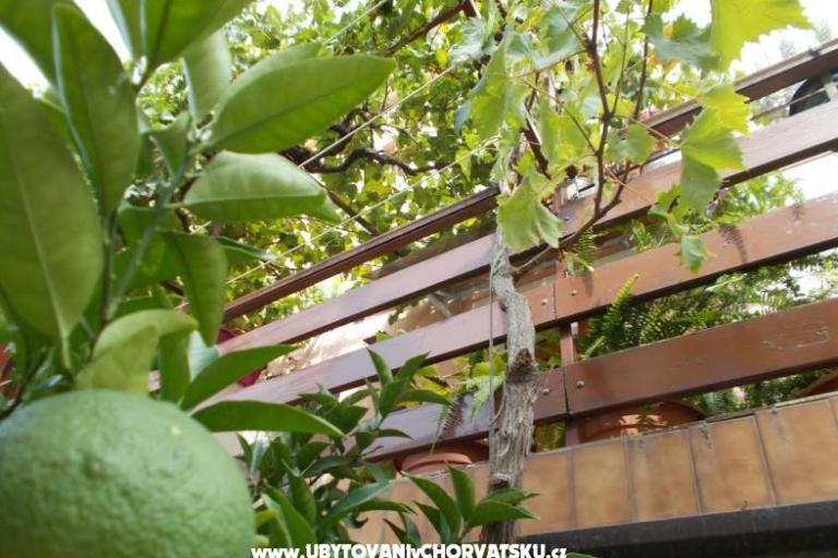 Apartamenty  Vodarić – foto 7