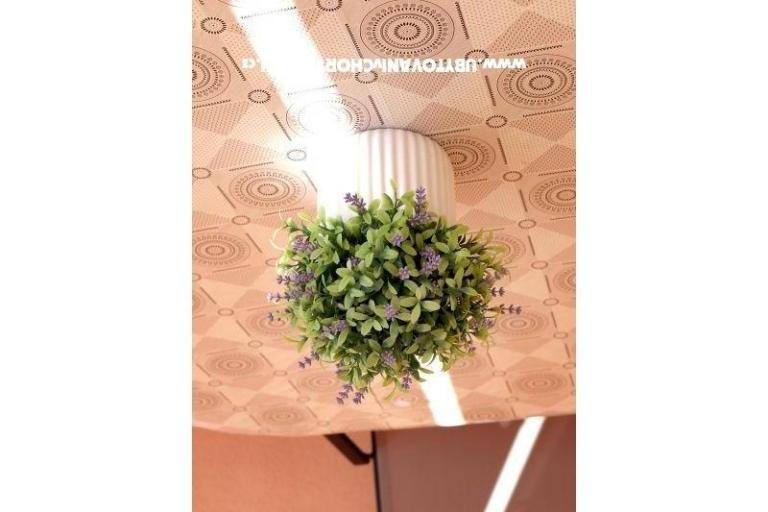 Apartamenty Ivanka – foto 15