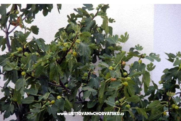 Apartamenty Marasović – foto 6