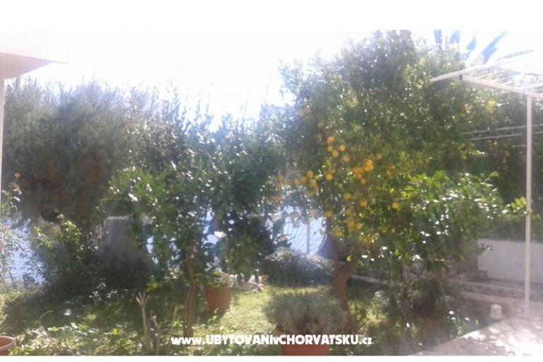 Apartamenty Neves – foto 13