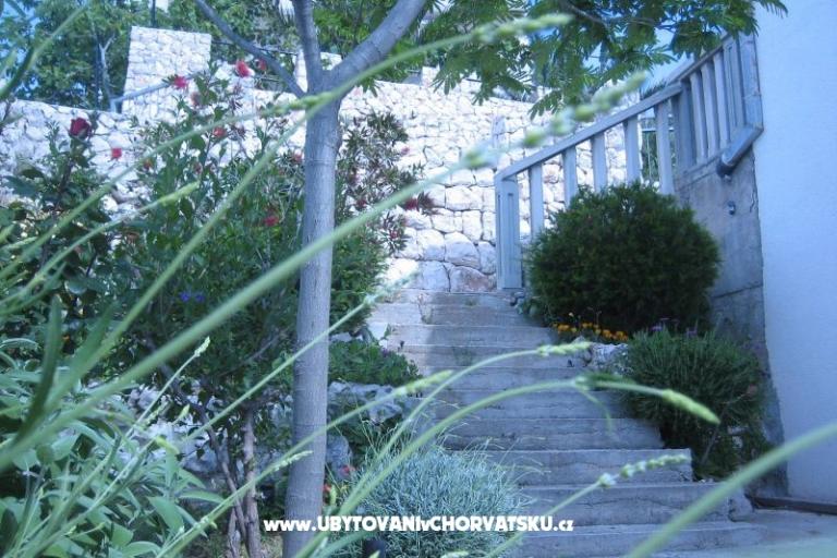 Apartamenty Punta  – foto 9