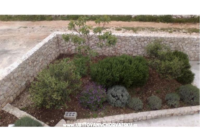 Apartament  Darija – foto 15