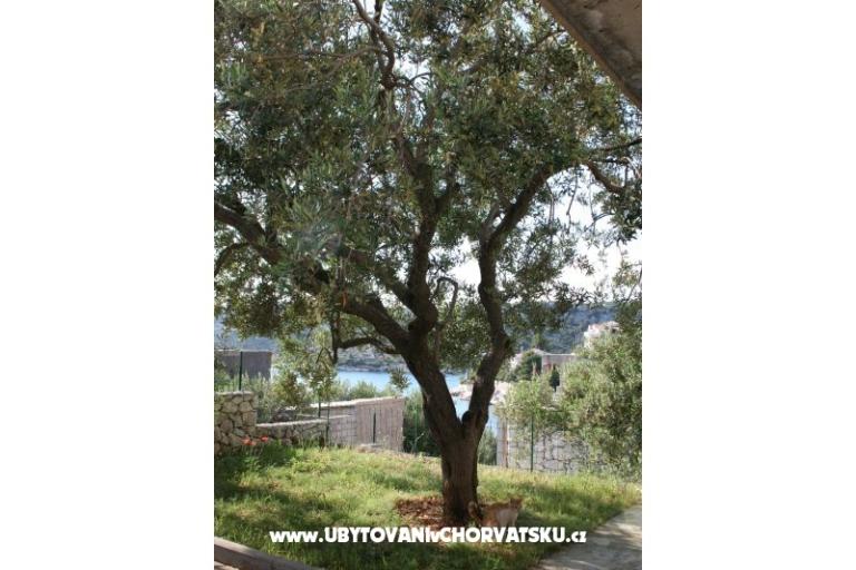 Apartamenty Sevid Nikša i Lucija – foto 15