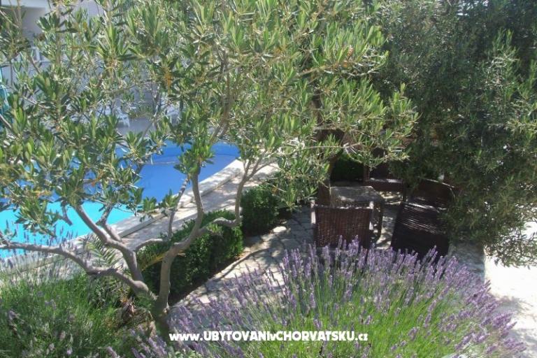 Apartamenty Villa MANDINA z basenem – foto 14