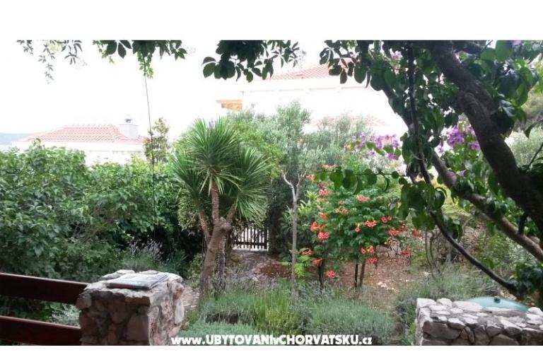 Dom Jukic – foto 10