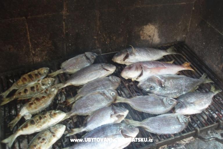 Dom Jukic – foto 12